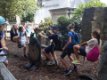 IMG-20210813-WA0005